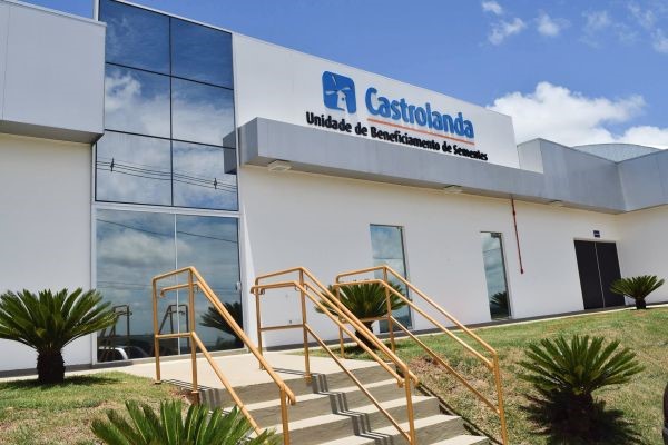 Castrolanda: projetando o futuro com gestão mais transparente