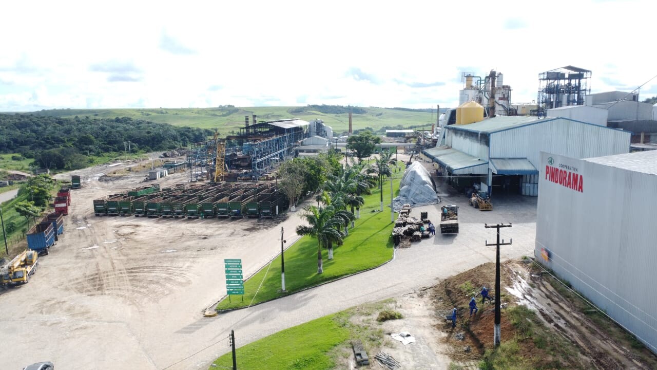 Cooperativa Pindorama adota Microgeo, insumo que une sustentabilidade e produtividade