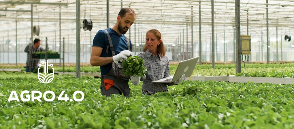 &lt;p&gt;Coopavel e Coopapi foram selecionadas para a segunda edição do programa da ABDI que busca a inovação no agronegócio. Entenda o programa e a importância de inovar no agro!&amp;nbsp;&lt;/p&gt;